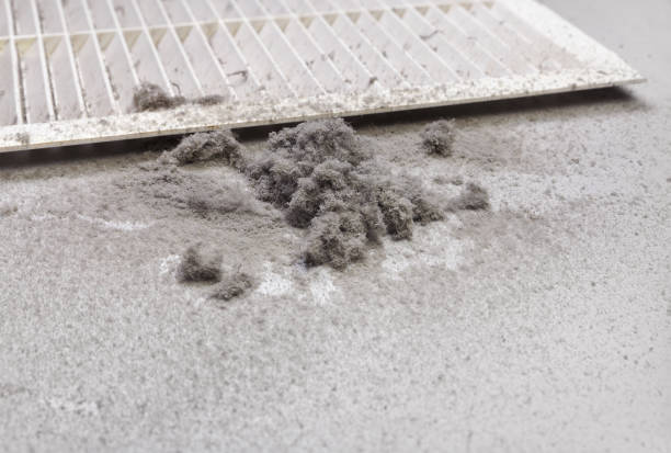 Best Best Air Duct Cleaning Company  in Seward, NE
