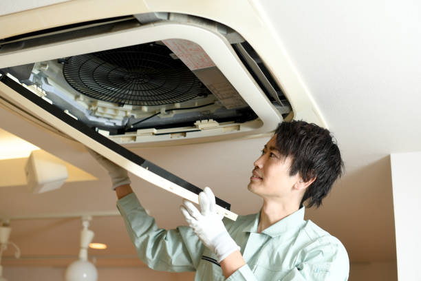Air Duct Mold Removal in NE